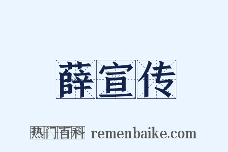 薛宣传是什么意思的图片